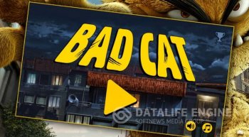 The Bad Cat   -  