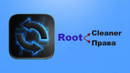 Root    